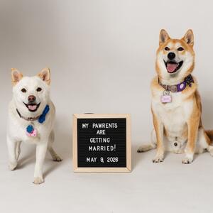 Gallery Photo 9