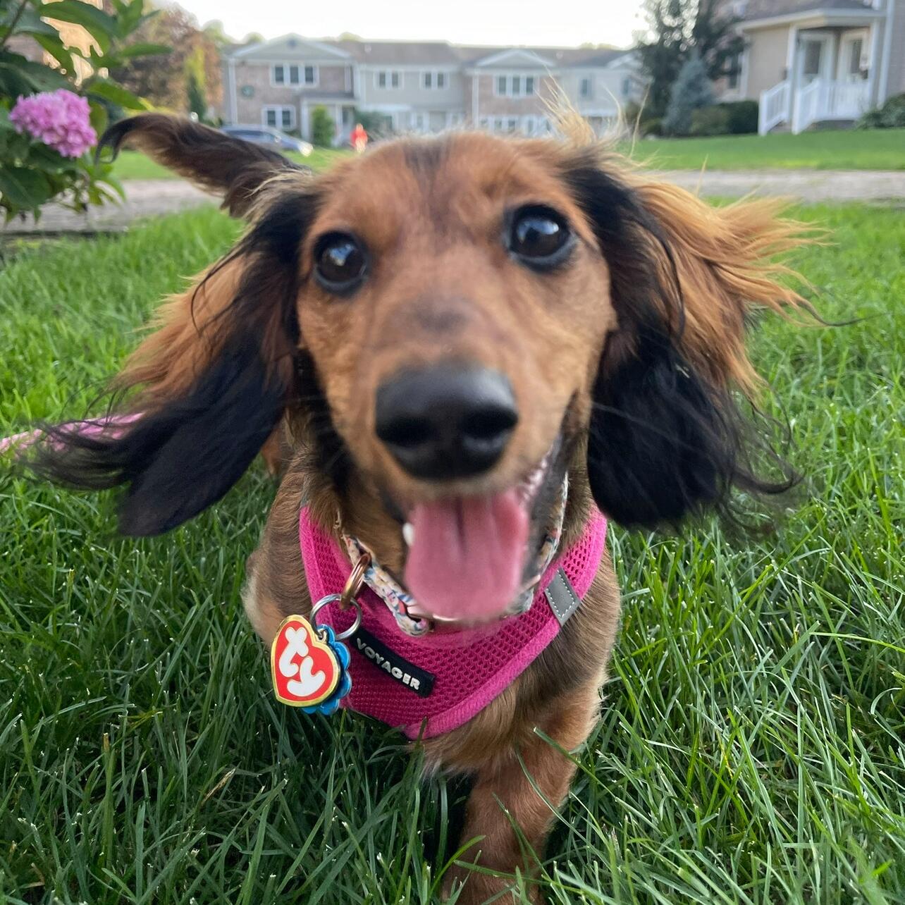 Lucy