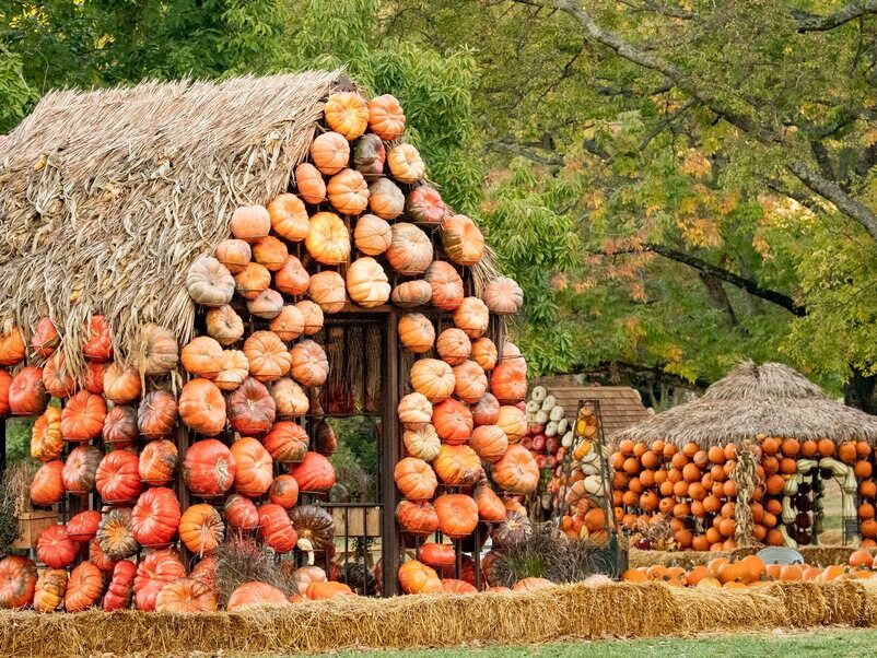 Picture of Cheekwood
