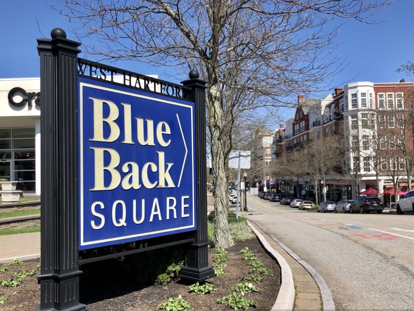 Picture of Blue Back Square