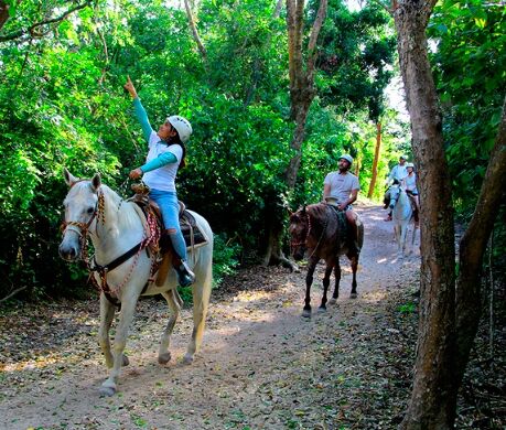 Picture of Ecotourism Ranch