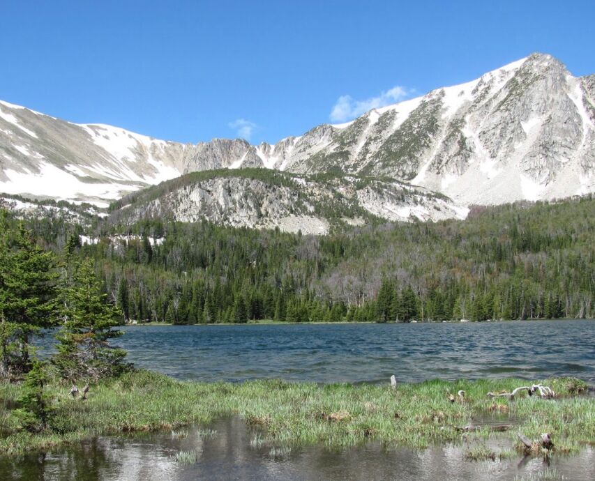 Picture of North Willowcreek Trail Head