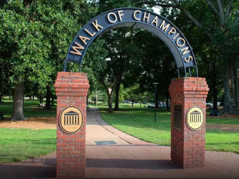 Picture of The Grove