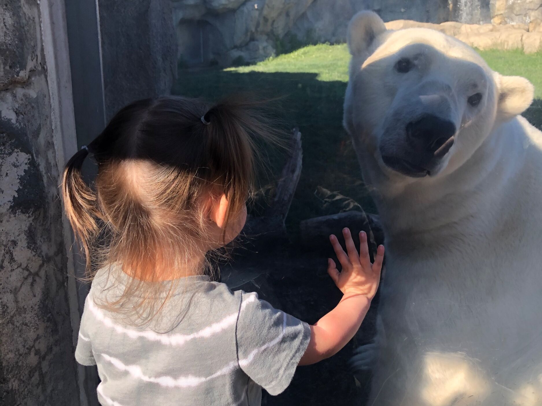 Picture of Brookfield Zoo