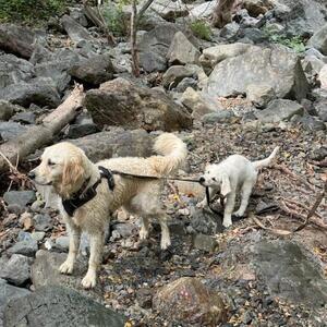 Gallery Photo 21