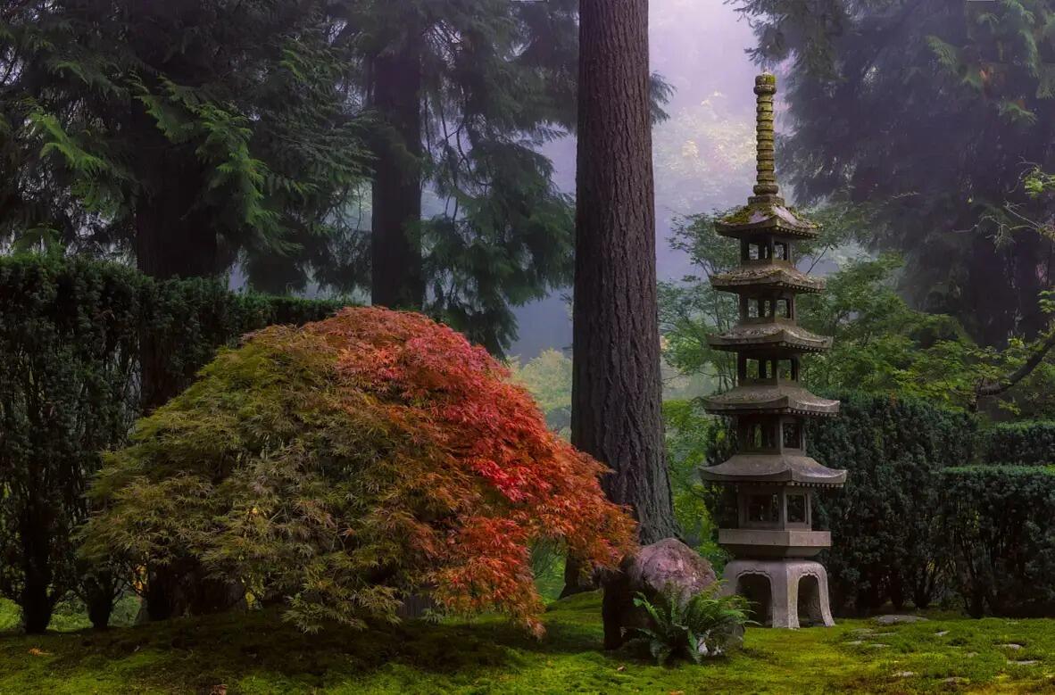 Picture of Portland Japanese Garden