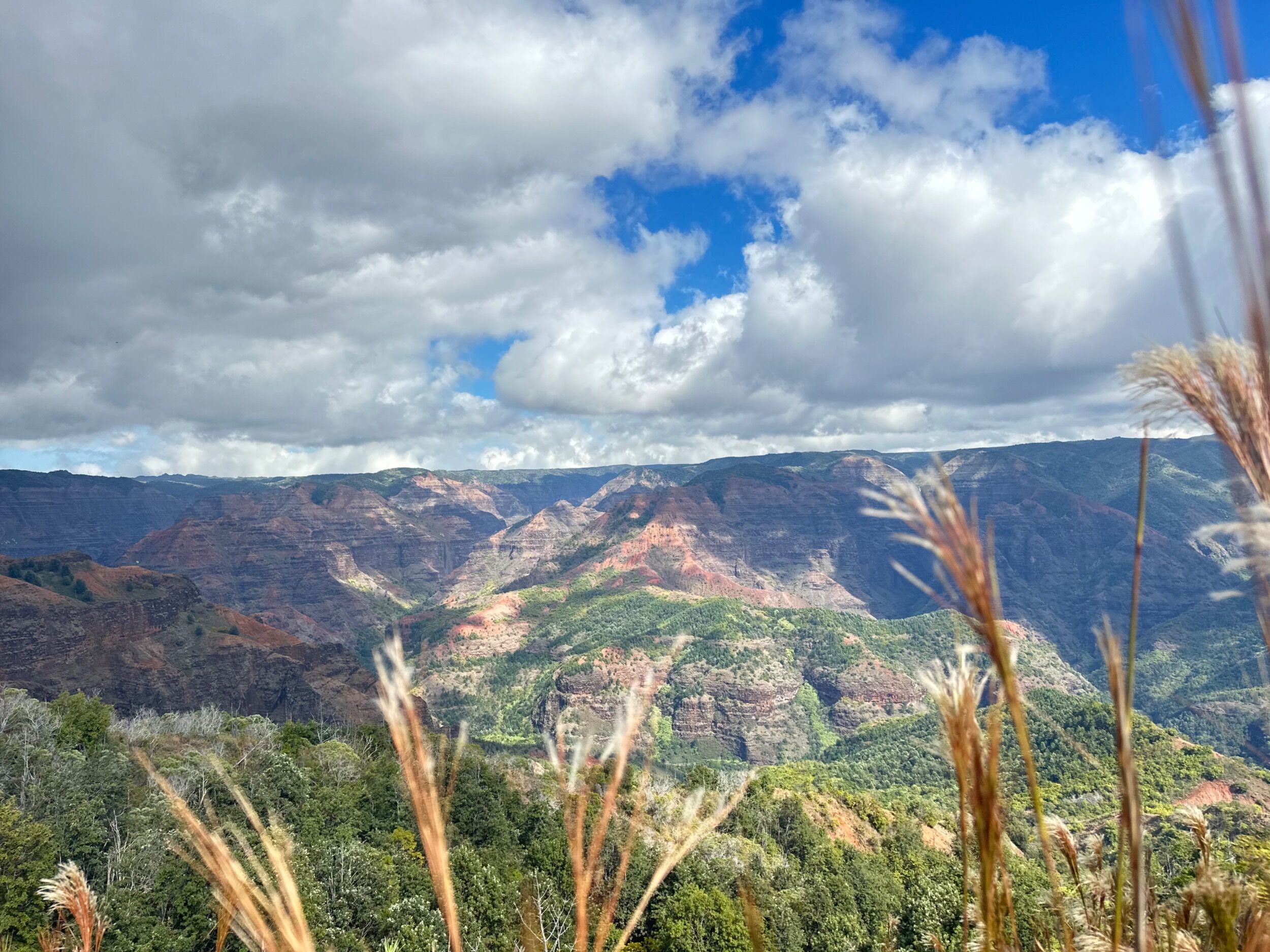 Picture of Waimea Canyon Lookout