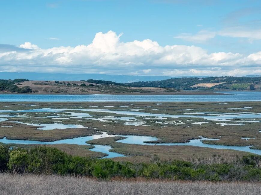 Picture of Elkhorn Slough State Marine Conservation Area