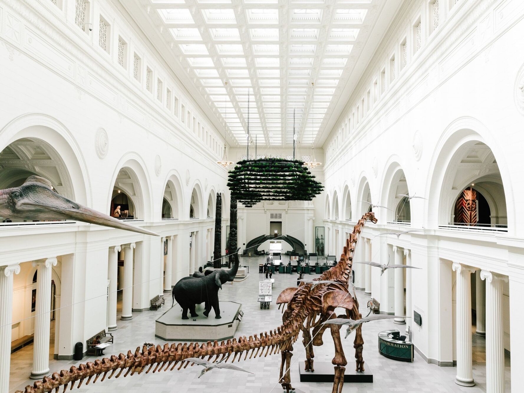 Picture of Field Museum