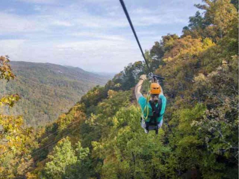 Picture of ZIPLINING