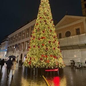 Gallery Photo 16
