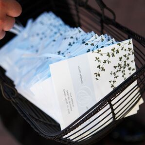 The Programs