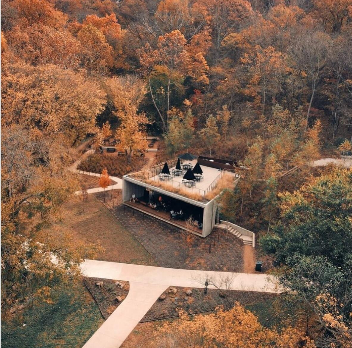 Picture of Coler Mountain Bike Preserve