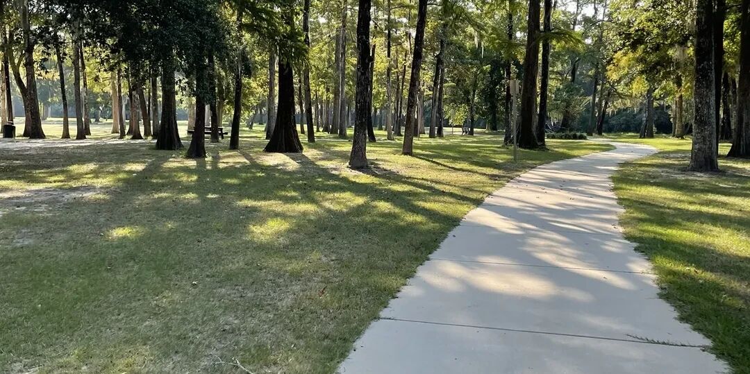 Picture of Bogue Falaya Wayside Park