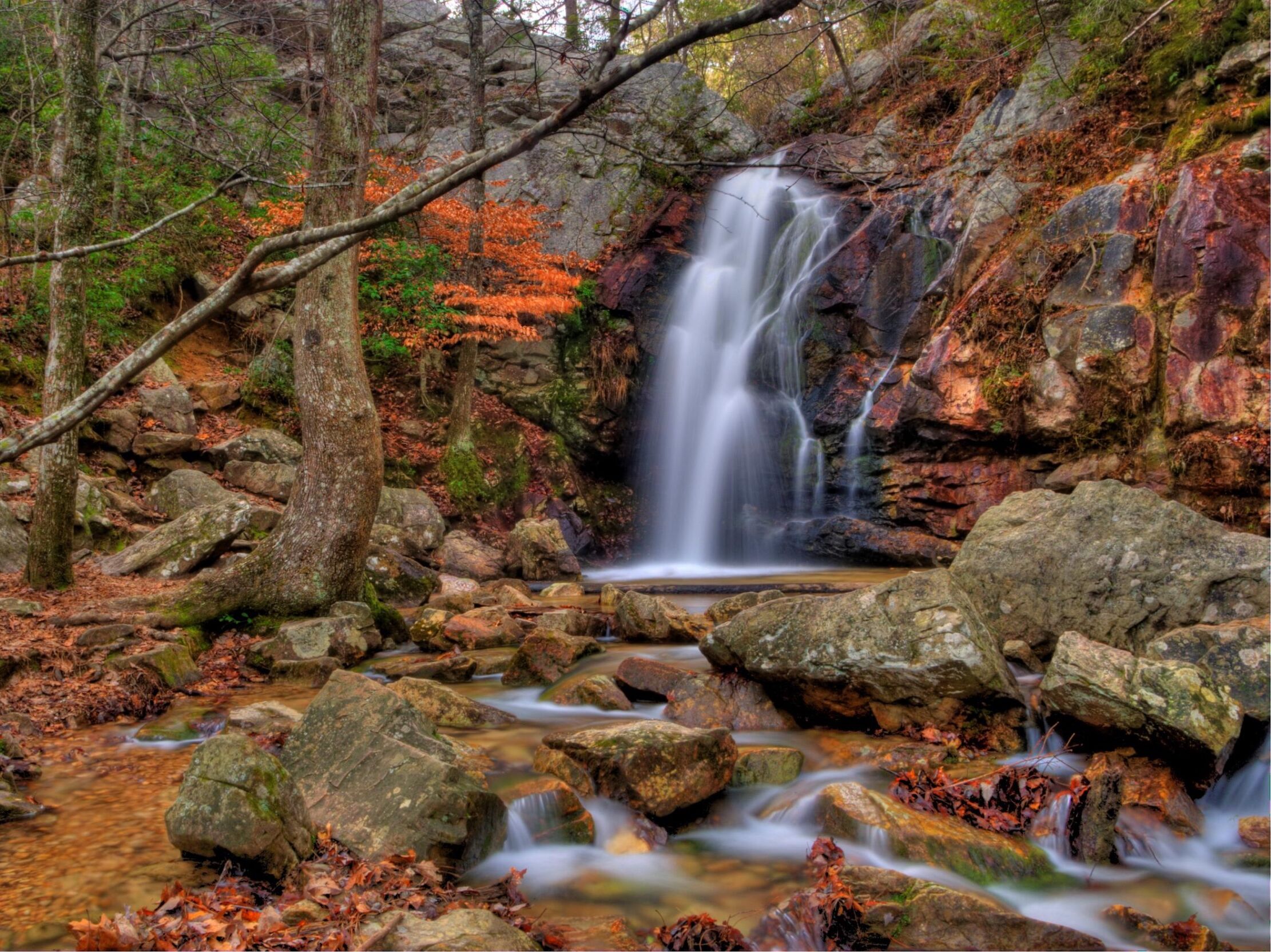 Picture of Oak Mountain State Park