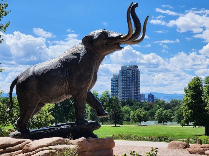 Picture of Denver Museum of Nature & Science