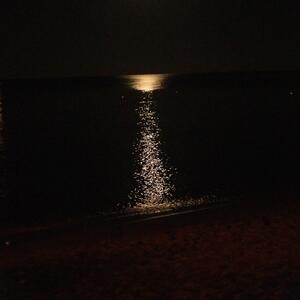 Gallery Photo 31