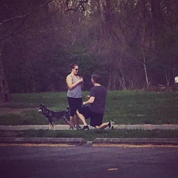 Picture of The Proposal