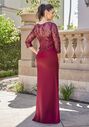 Jade Couture Mother of the Bride by Jasmine K258015 Red Mother Of The Bride Dress - thumbnail - 3