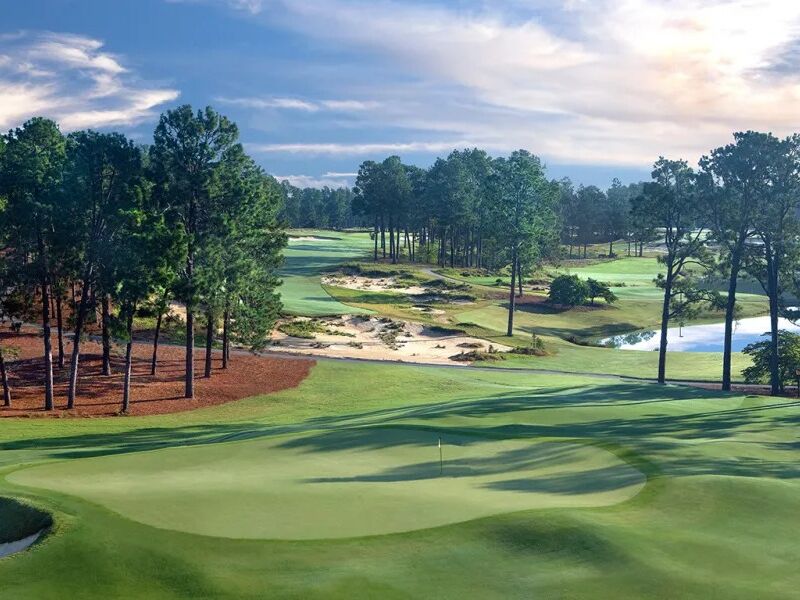 Picture of Golf