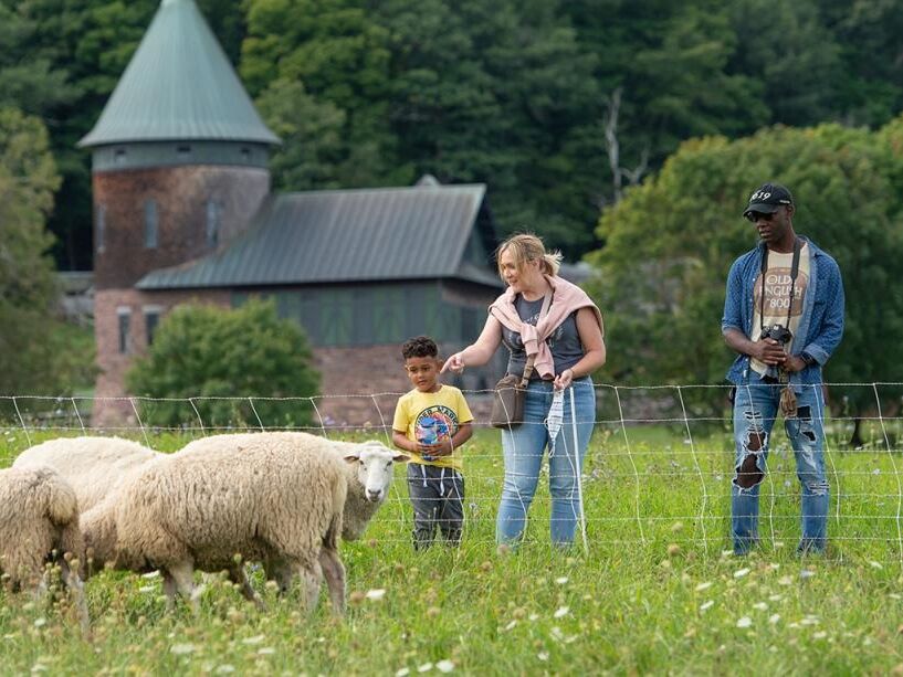 Picture of Shelburne Farms