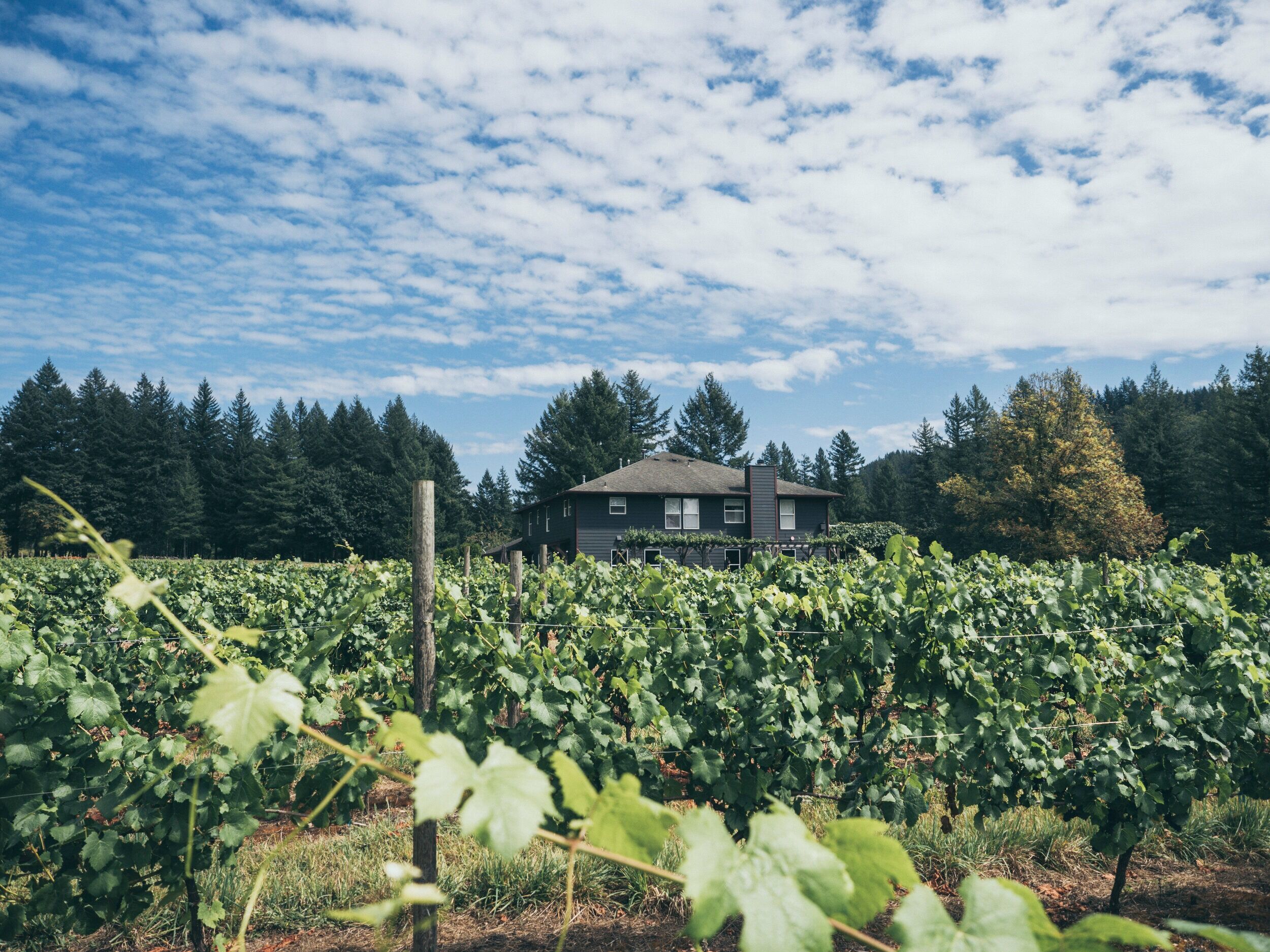 Picture of Pomeroy Cellars