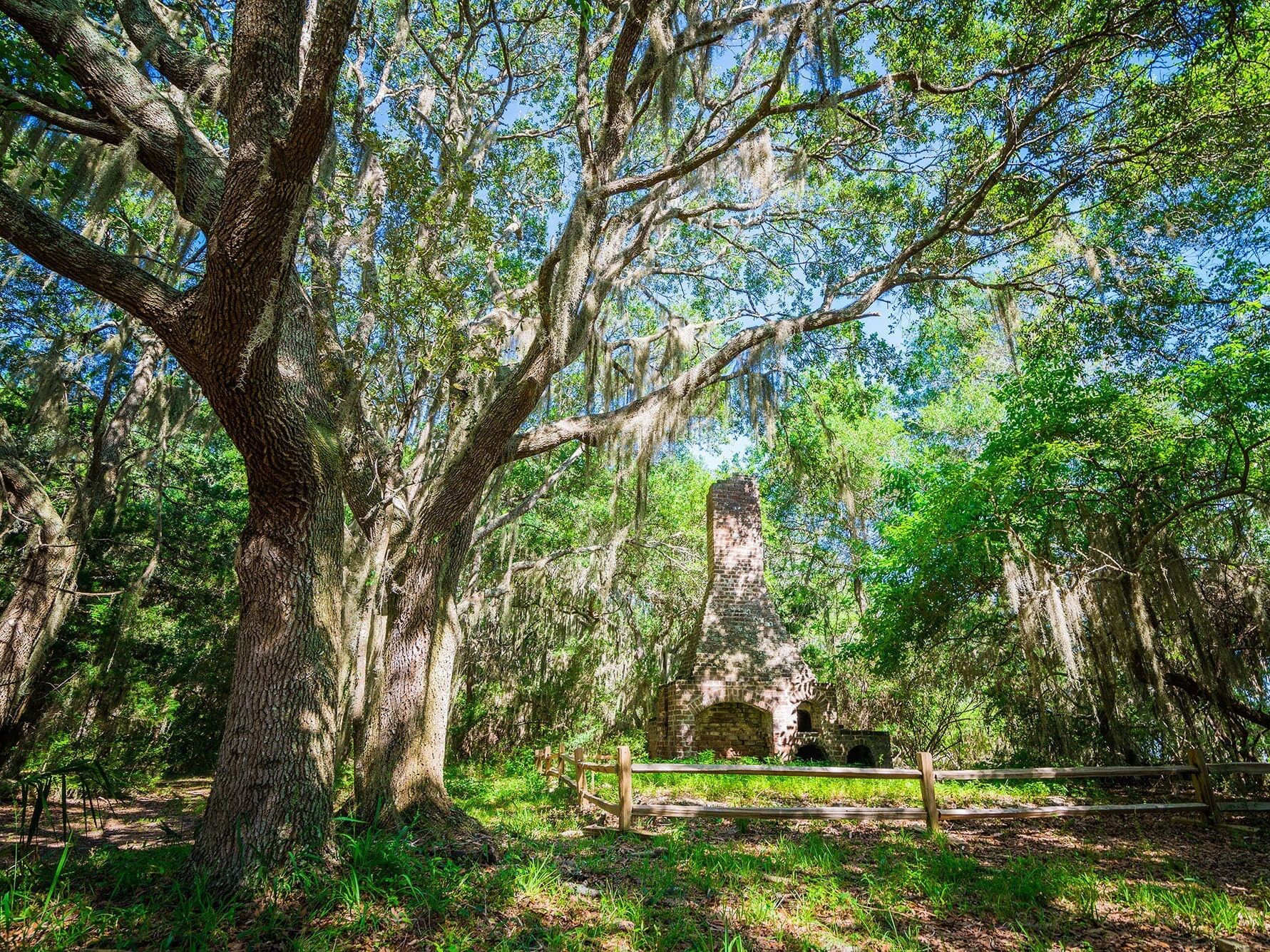 Picture of Cannon's Point Preserve