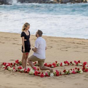 Gallery Photo 38