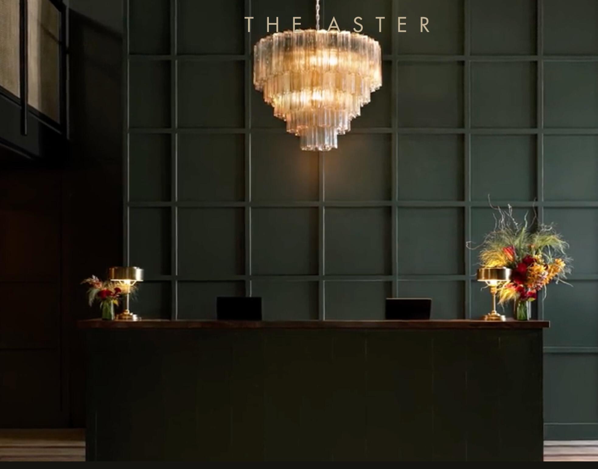 Picture of The Aster