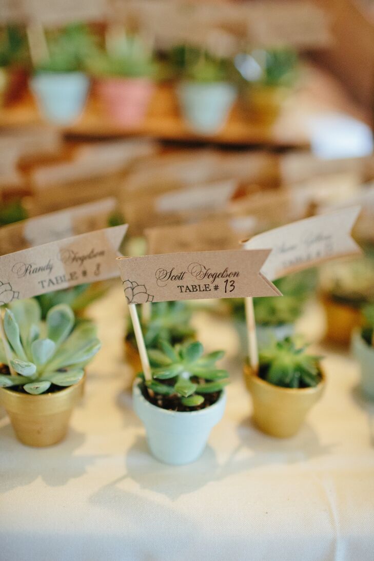 DIY Succulent Escort Cards