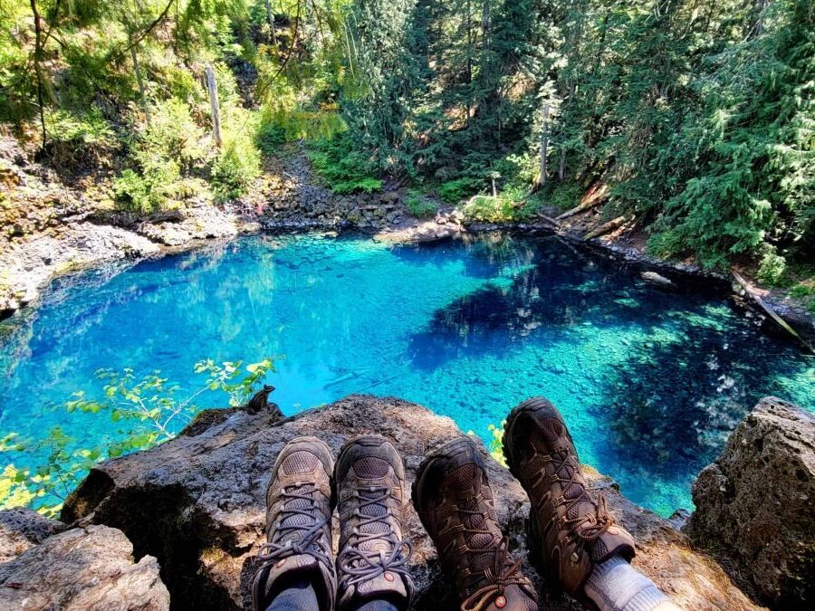Picture of Tamolitch Falls (Blue Pool)
