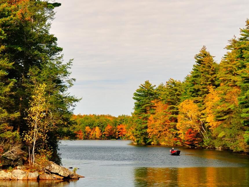 Picture of Bigelow Hollow State Park