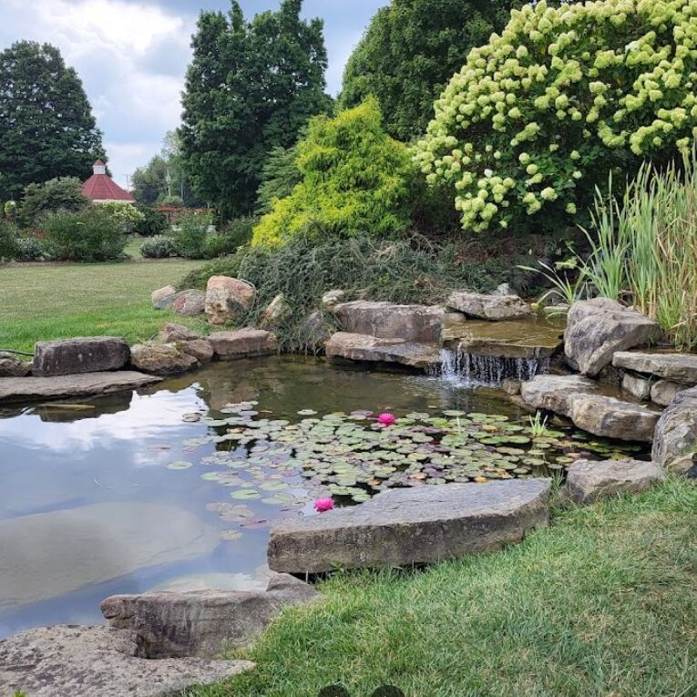 Picture of Matter Park