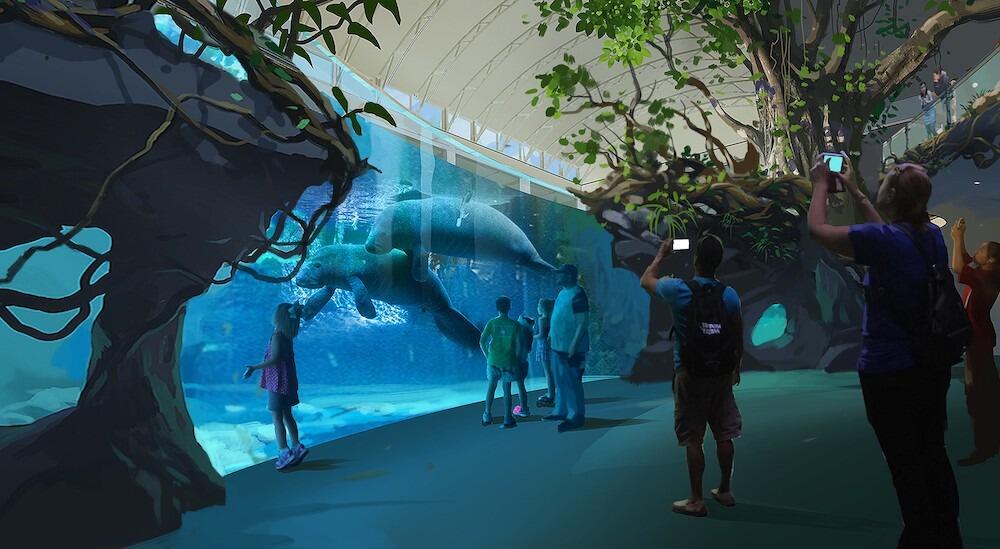 Picture of Clearwater Marine Aquarium