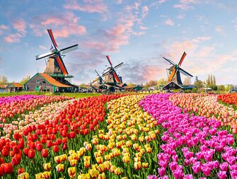 8 Dutch Wedding Traditions & Rituals You Should Know
