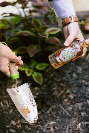 Digging Up Buried Bourbon From Wedding Tradition