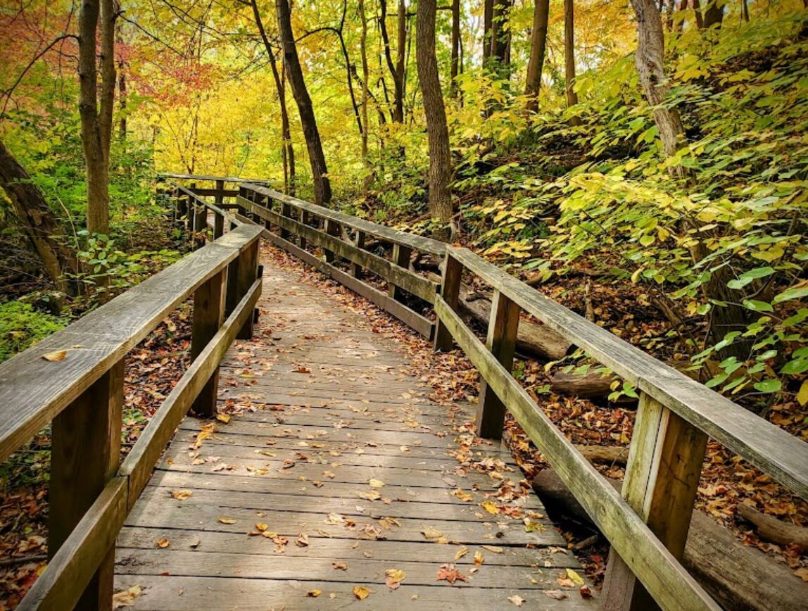 Picture of Holliday Park