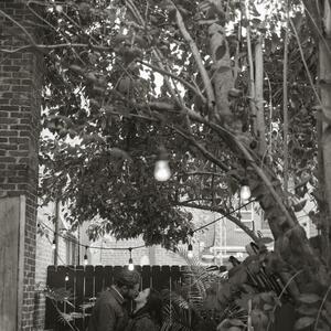Gallery Photo 10