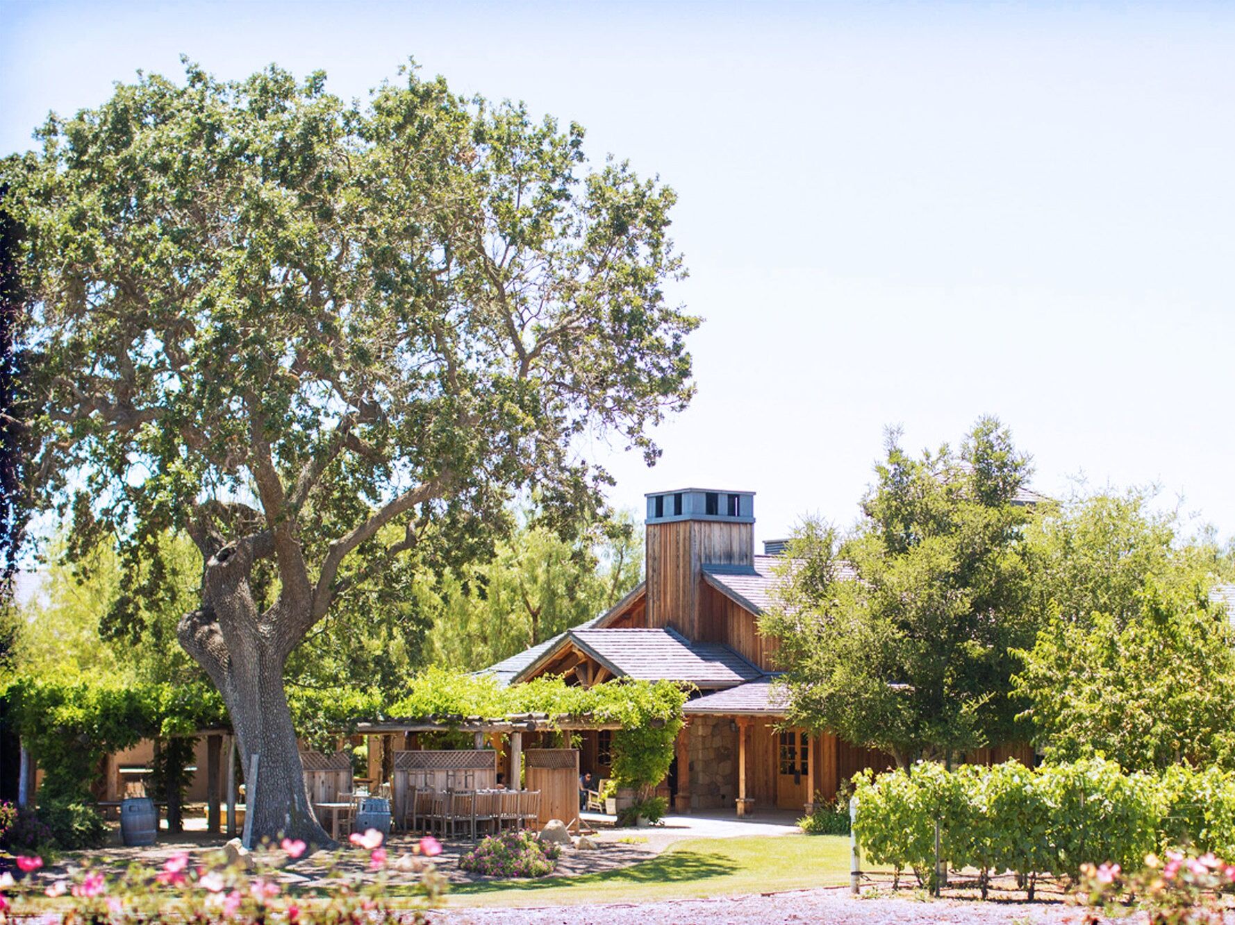Picture of Roblar Winery and Vineyards 