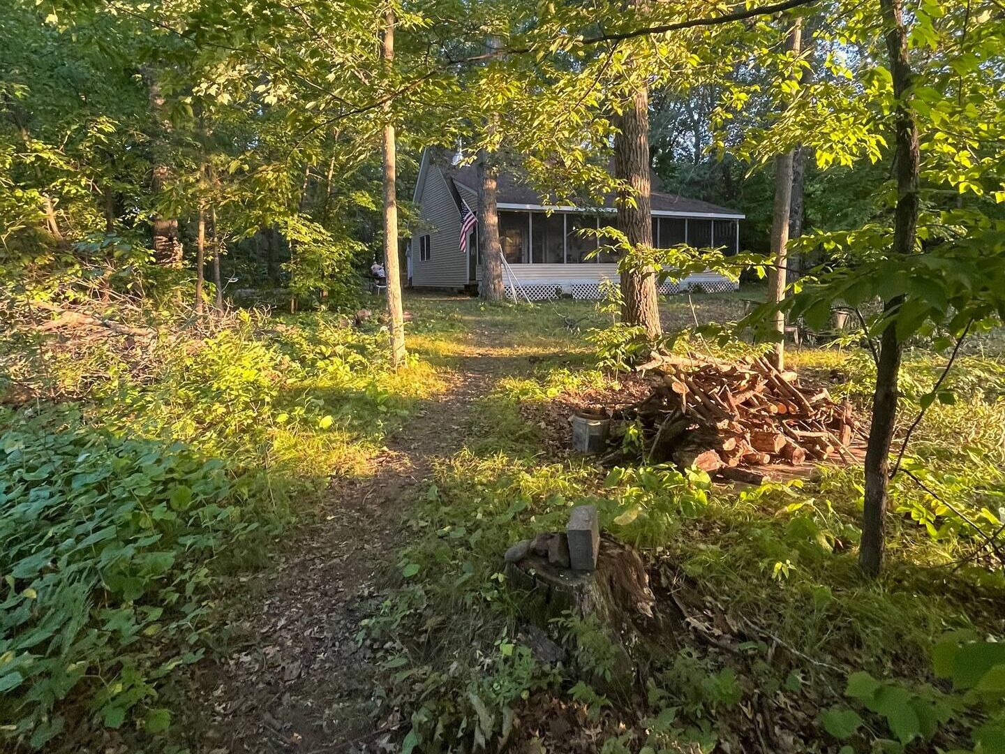 Picture of Airbnb Cabin in Braham
