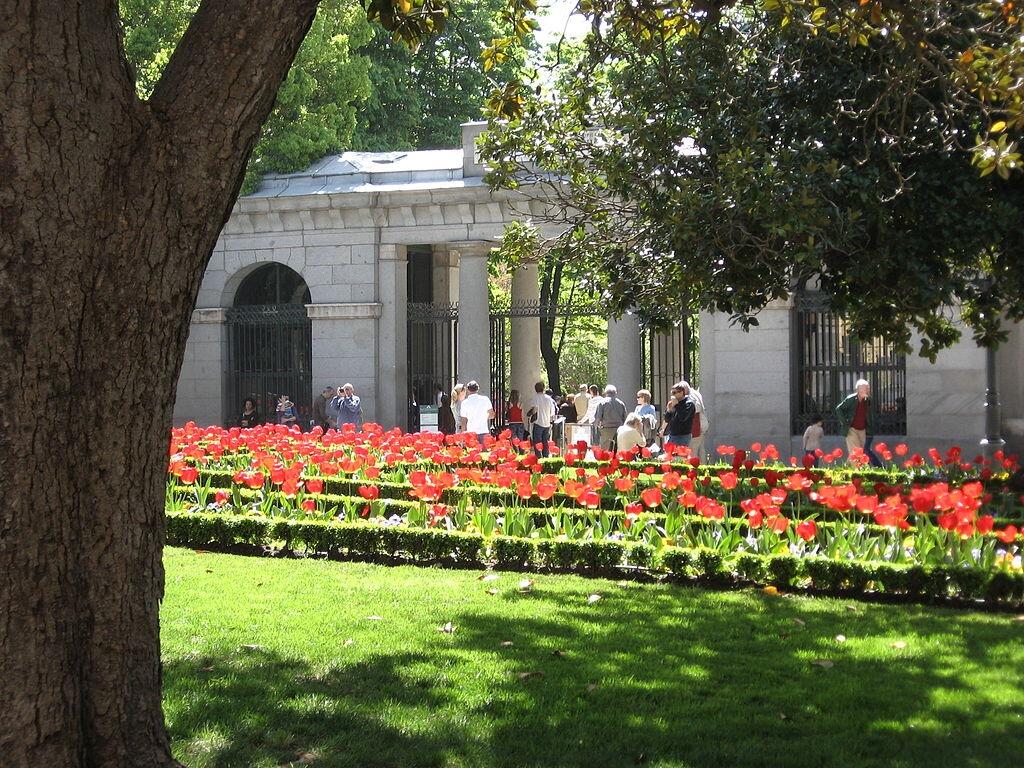 Picture of Real Jardín Botánico