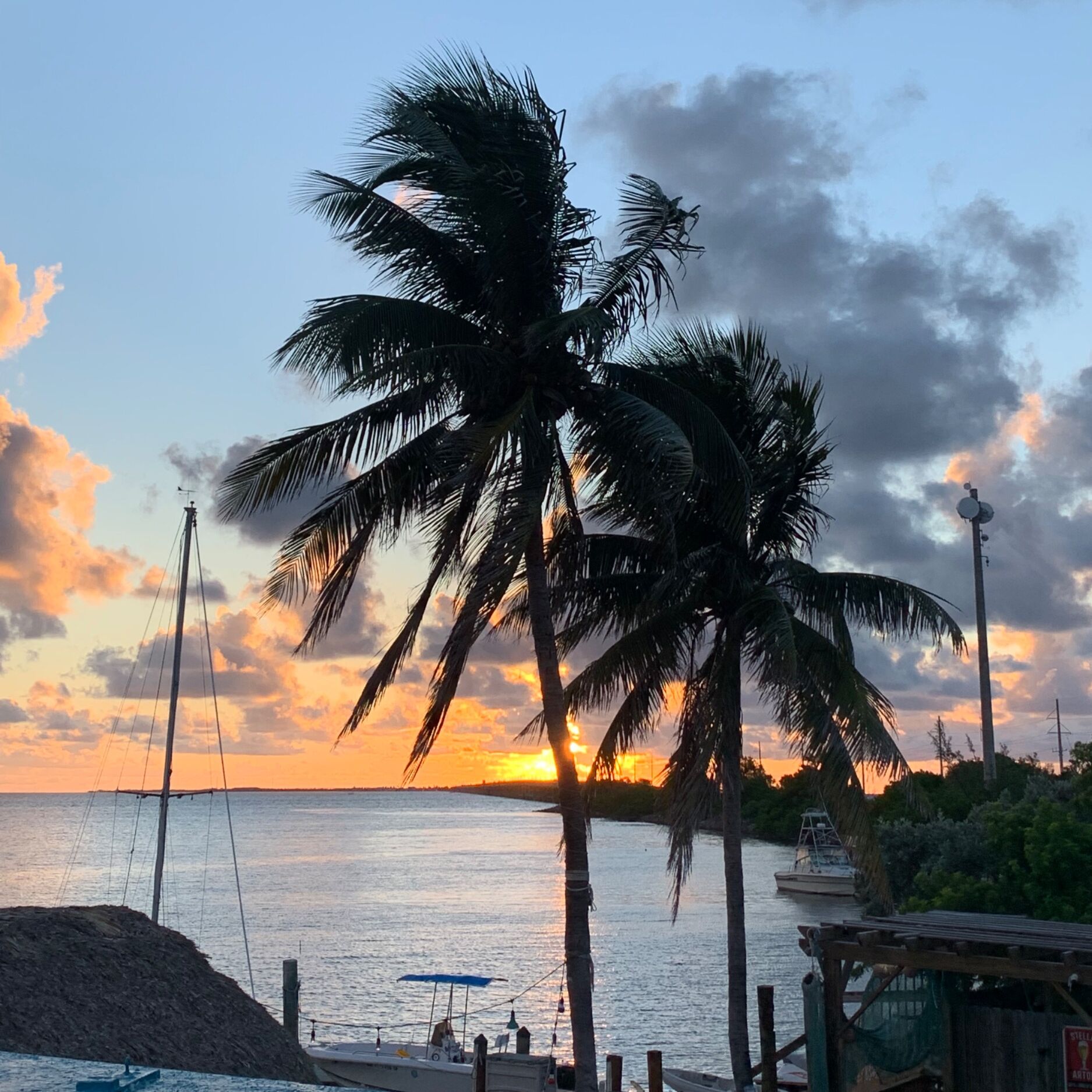 Picture of Take a Day Trip to the Florida Keys