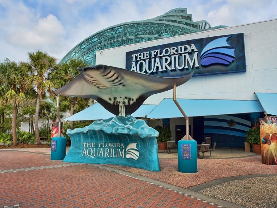 Picture of The Florida Aquarium