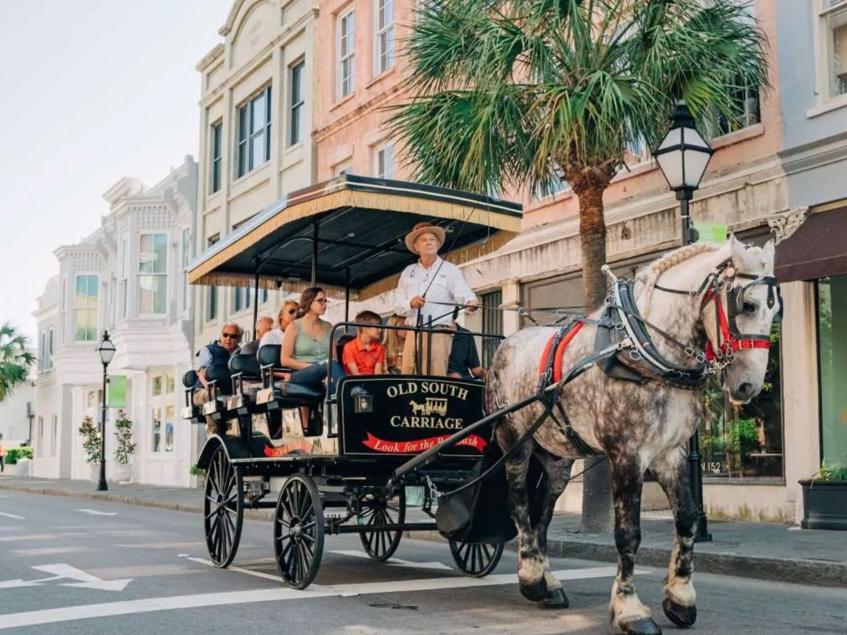 Picture of Old South Carriage Company