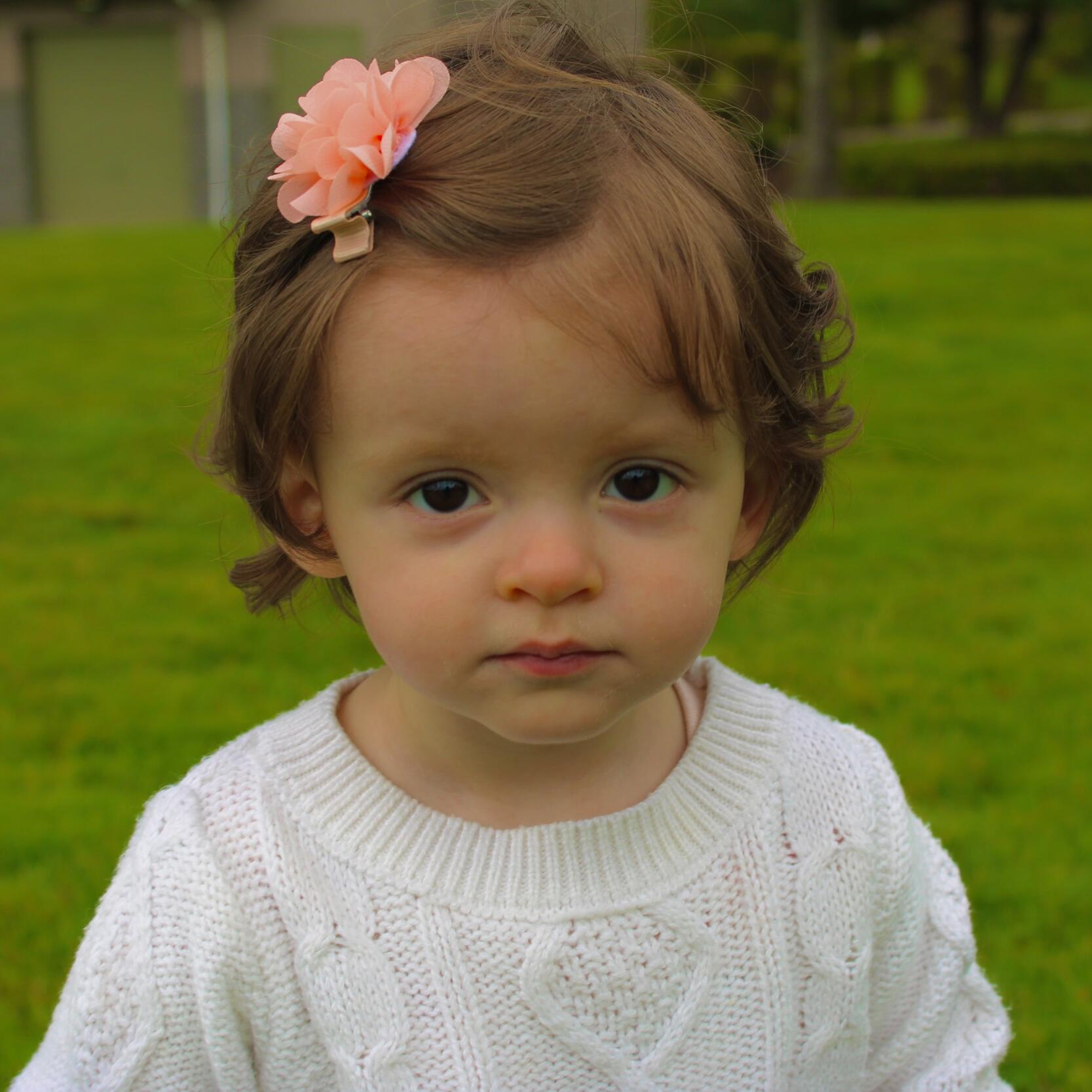Delita Dodge