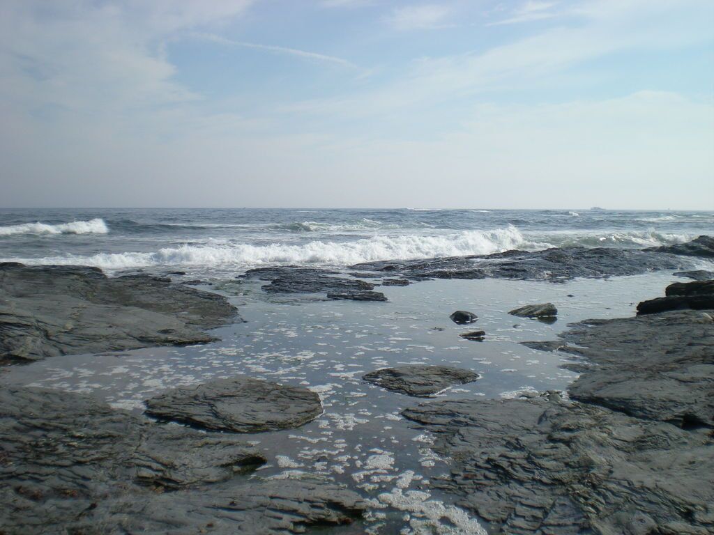 Picture of Ten Mile Drive and Ocean Drive