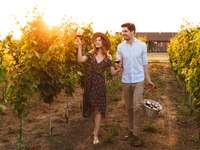 Couple drinking wine and walking through vineyard with picnic basket