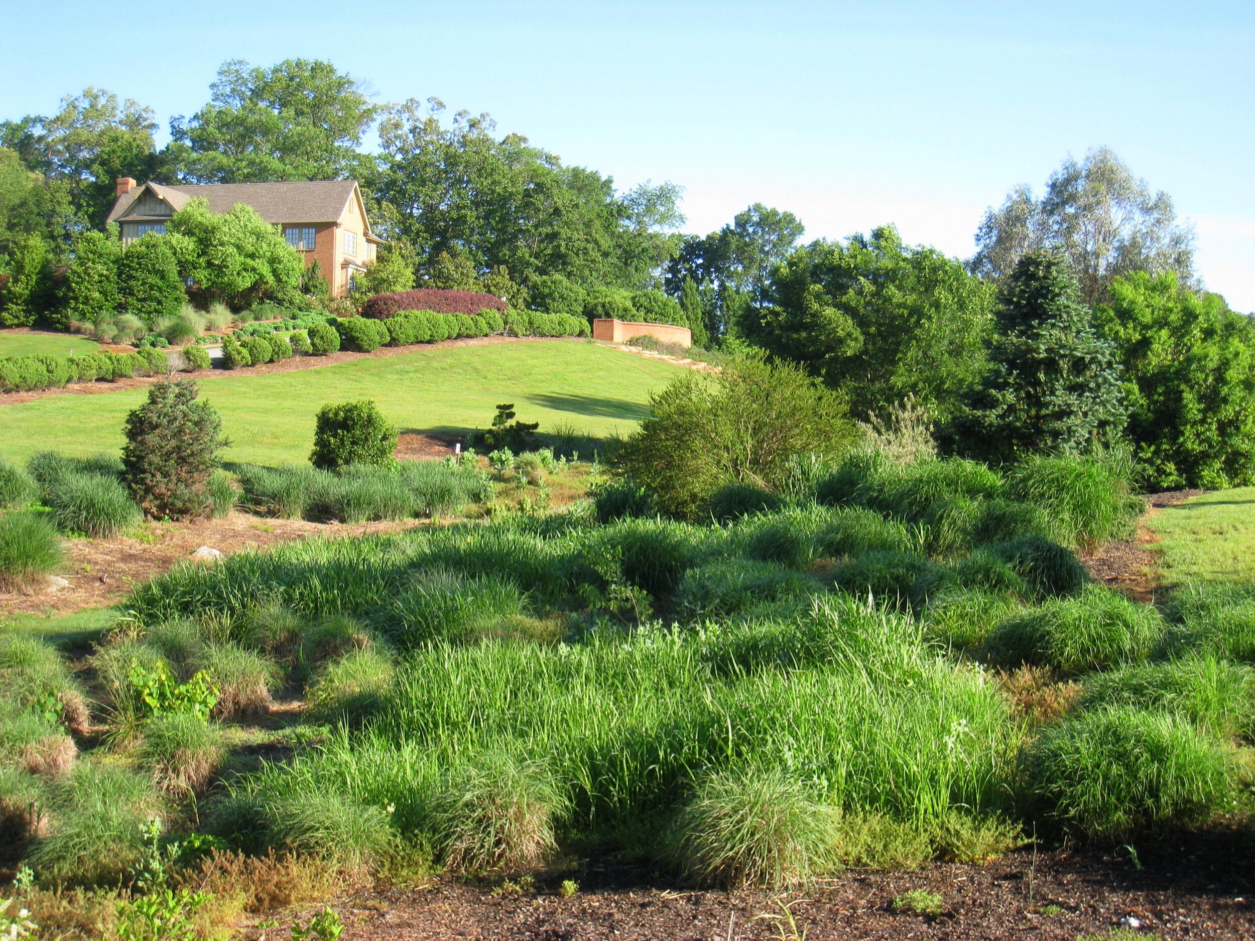 Picture of South Carolina Botanical Garden