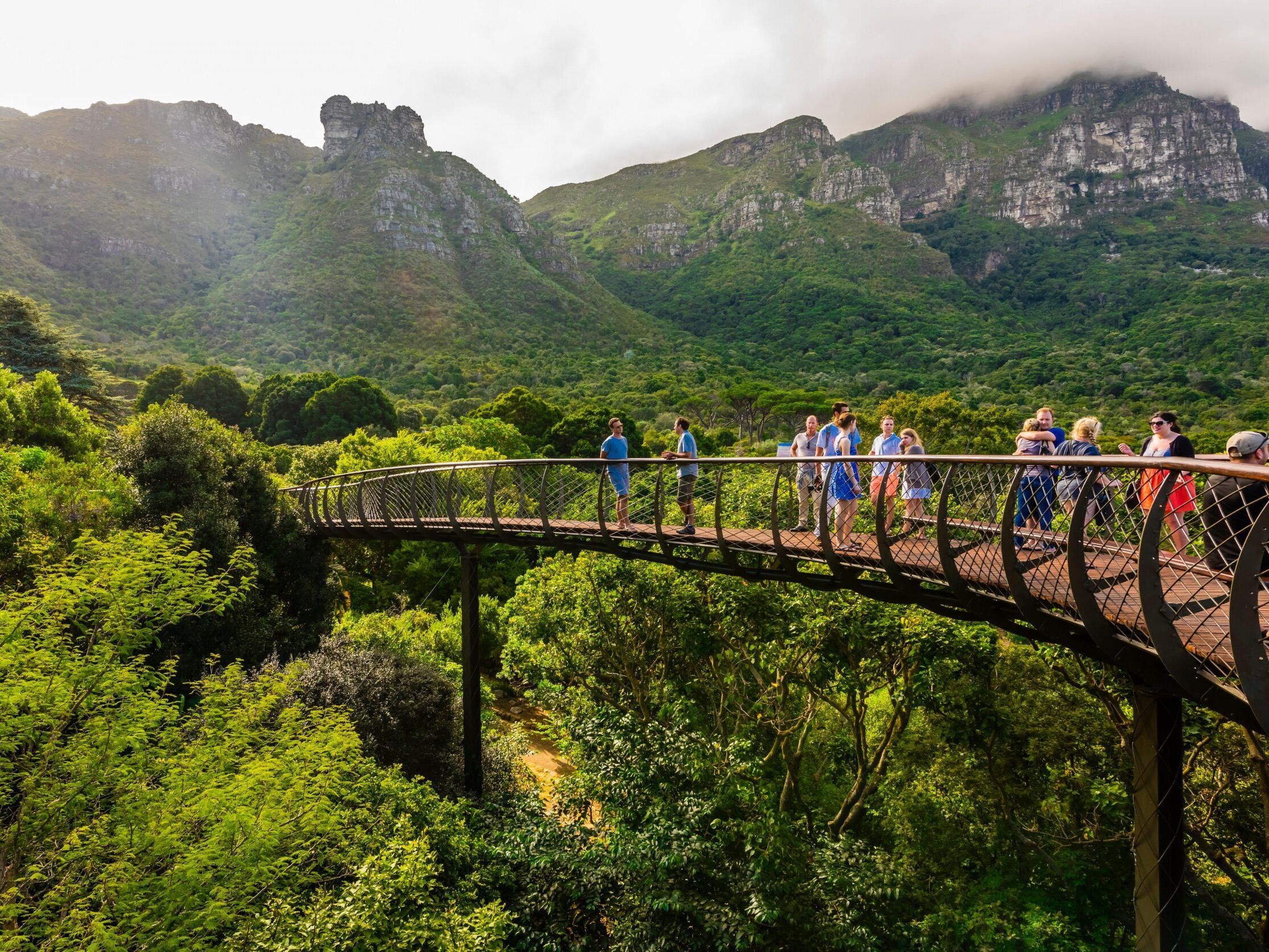 Picture of Kirstenbosch National Botanical Garden