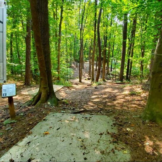 Picture of East Roswell Park
